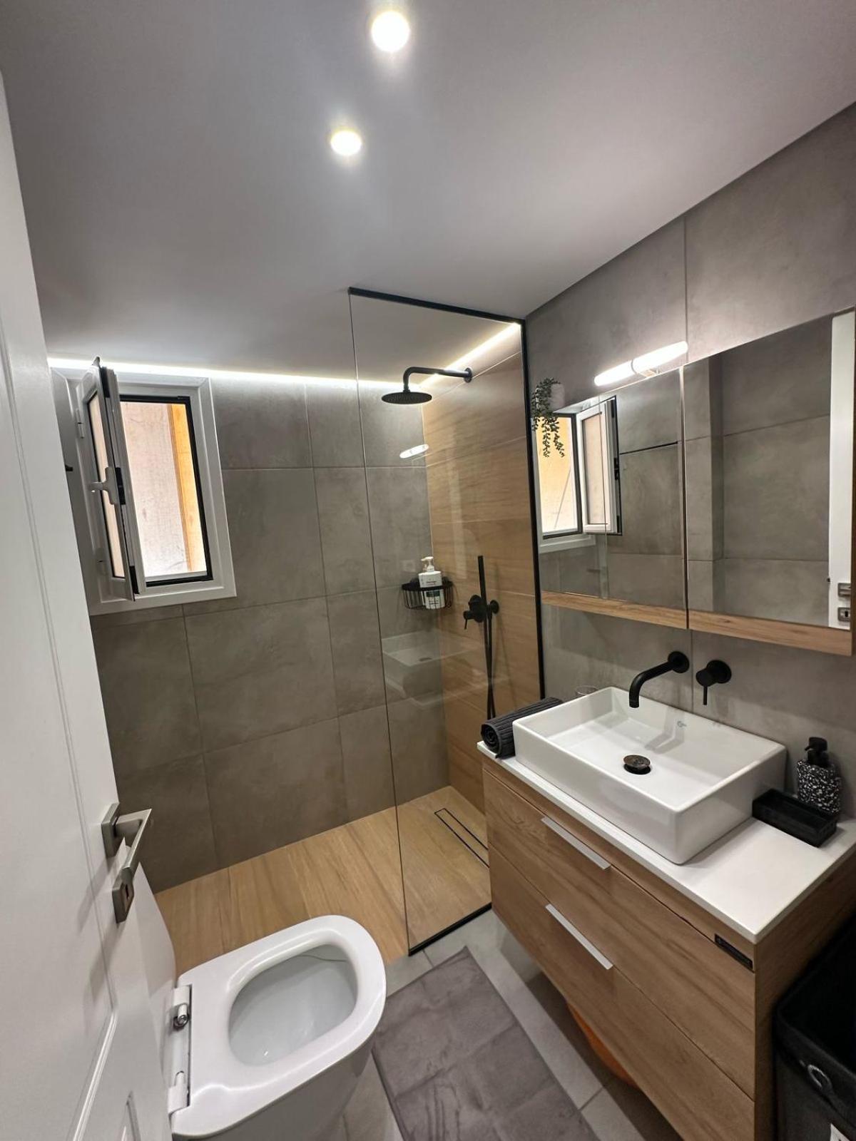 Mihaela-Andreea Luxury House Διαμέρισμα Αθήνα Εξωτερικό φωτογραφία