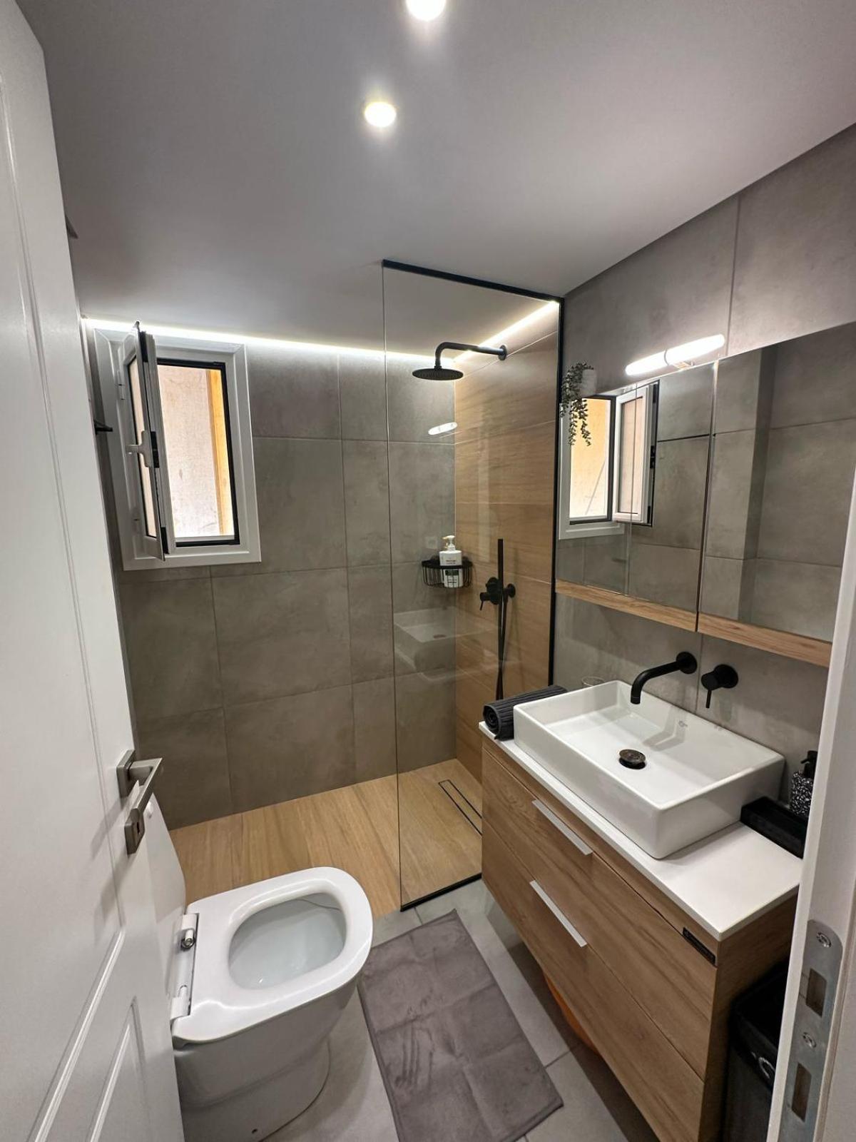 Mihaela-Andreea Luxury House Διαμέρισμα Αθήνα Εξωτερικό φωτογραφία